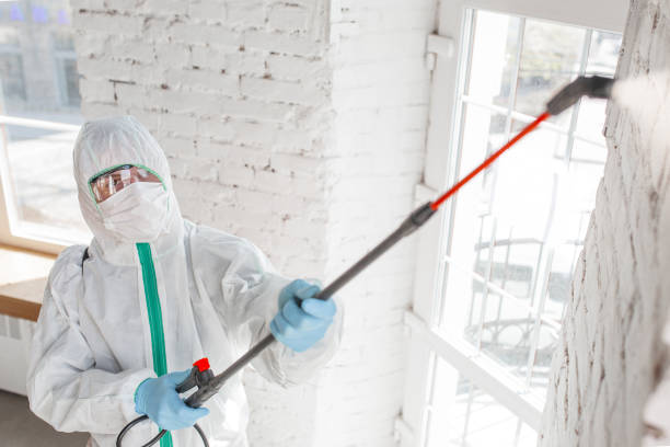 Best Mold Documentation for Insurance Claims  in Creola, AL