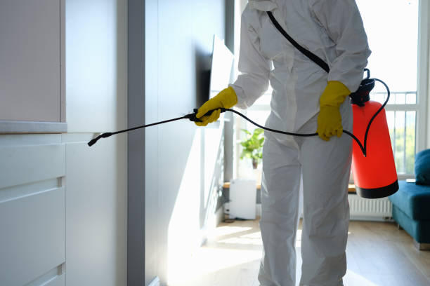 Best Post-Construction Mold Inspection  in Creola, AL