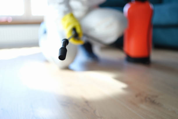 Best Mold Removal for HVAC Installations  in Creola, AL