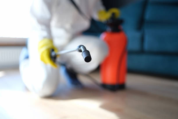 Best Emergency Mold Remediation  in Creola, AL