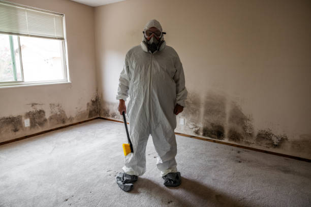 Best Asbestos and Lead Testing During Mold Inspection  in Creola, AL